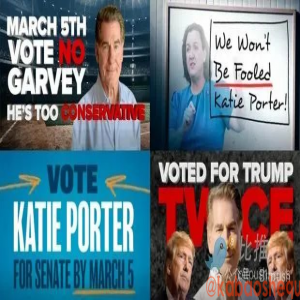 “钞能力”换“超能力”，解密加密“金主”如何左右美国大选？