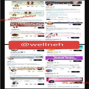 <strong>咖宝社区助力摩洛哥媒体推广发稿</strong>